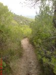 DSC00985.JPG