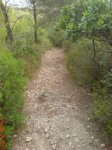 DSC00984.JPG