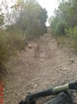 DSC00983.JPG