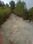DSC00979.JPG