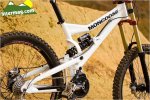 mongoose proto 2.jpg