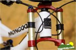 mongoose proto 3.jpg