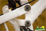 mongoose proto 4.jpg