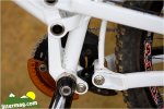 mongoose proto 5.jpg