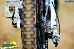 mongoose proto 6.jpg