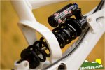 mongoose proto 7.jpg