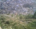 IMG00335.jpg