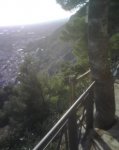 IMG00336.jpg