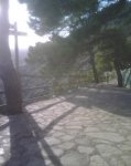 IMG00337.jpg
