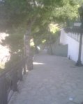 IMG00375.jpg