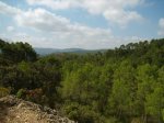 P8020081.JPG