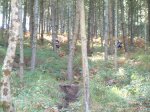 DSCF0038.jpg