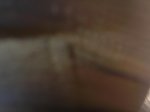 SANY0140.jpg
