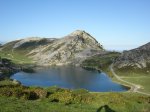 DSC07866.jpg