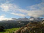 DSC07896.jpg