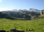 DSC07919.jpg
