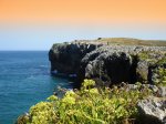 DSC08069.jpg