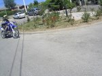 SANY0155.jpg
