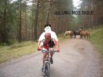 Foto1.JPG