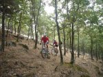 Foto11.JPG