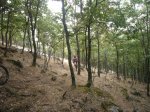 Foto14.JPG