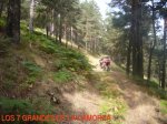 Foto47.JPG