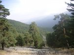 Foto53.JPG