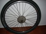 DSCN0787.JPG