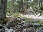 DSC01996.JPG