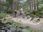 DSC02002.JPG
