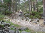 DSC02004.JPG