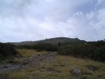 DSC02009.JPG