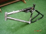 DSC02543.JPG