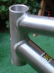 DSC02562.JPG