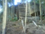 DSC01945.jpg