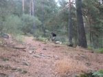 Vuelta a la Camorca (12).jpg