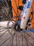 DSC01178.jpg