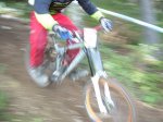DSCN3567.jpg
