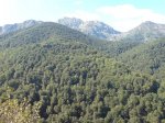 DSC00219.jpg