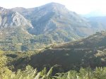 DSC00176.jpg