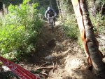 DSC0187855.jpg