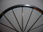 DSC00813.JPG