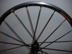DSC00816.JPG