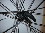 DSC00817.JPG