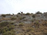 DSC00115.JPG