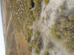 DSC00116.JPG