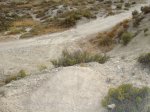 DSC00121.JPG