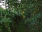 DSC07266.JPG