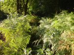 DSC07268.JPG