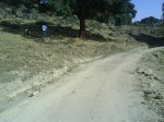 MOVIL 006.jpg